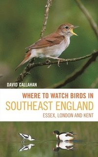 bokomslag Where to Watch Birds in Southeast England