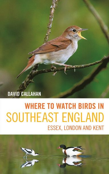 bokomslag Where to Watch Birds in Southeast England