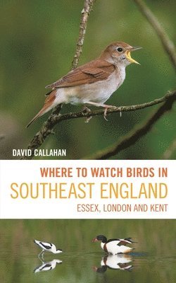 Where to Watch Birds in Southeast England 1