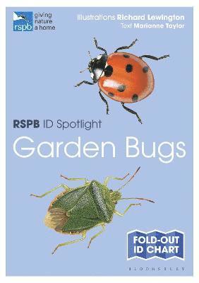 bokomslag RSPB ID Spotlight - Garden Bugs