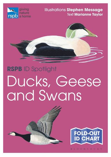 bokomslag RSPB ID Spotlight - Ducks, Geese and Swans