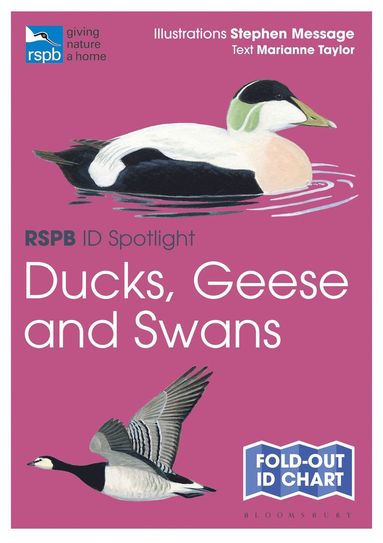 bokomslag RSPB ID Spotlight - Ducks  Geese and Swans