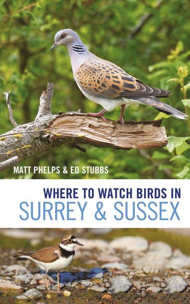 bokomslag Where to Watch Birds in Surrey and Sussex