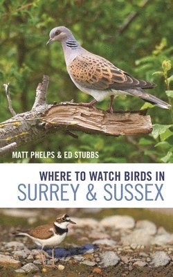 Where to Watch Birds in Surrey and Sussex 1