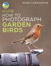 bokomslag RSPB How to Photograph Garden Birds