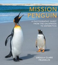 bokomslag Mission Penguin