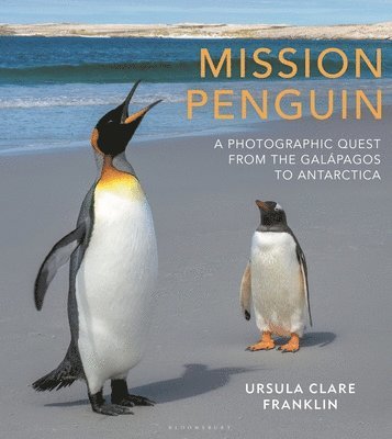 bokomslag Mission Penguin