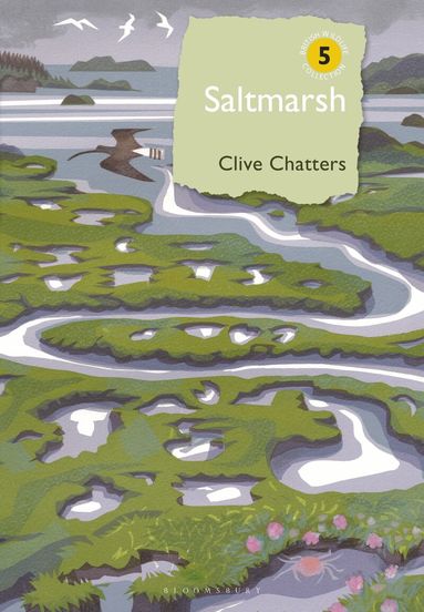 Clive Chatters - Saltmarsh, Inbunden