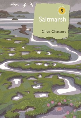 Saltmarsh 1