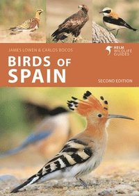 bokomslag Birds of Spain