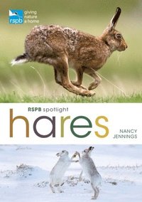 bokomslag RSPB Spotlight Hares