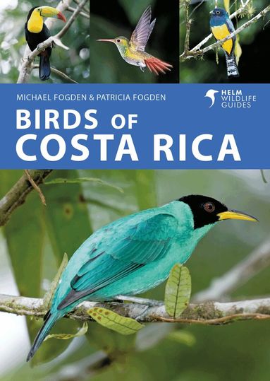 Michael Fogden, Patricia Fogden - Birds of Costa Rica, Häftad