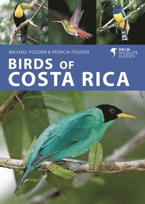 Birds of Costa Rica 1