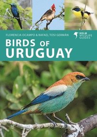 bokomslag Birds of Uruguay