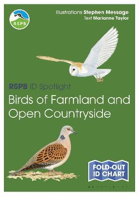 bokomslag RSPB ID Spotlight - Birds of Farmland and Open Countryside