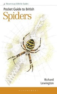 bokomslag Pocket Guide to British Spiders