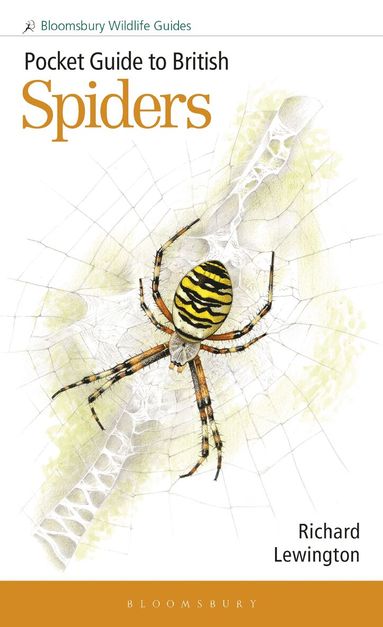 Richard Lewington - Pocket Guide to British Spiders, Häftad