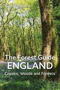 bokomslag Forest Guide: England