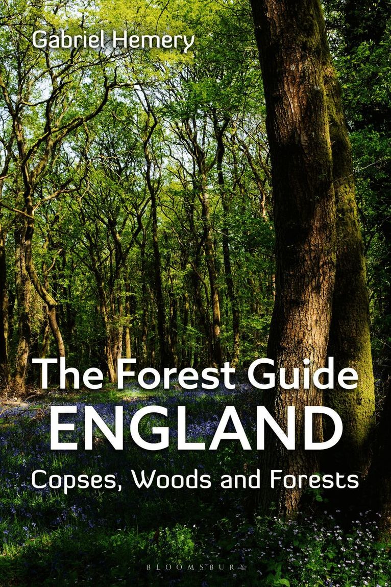 Forest Guide: England