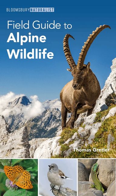 Thomas Gretler - Field Guide to Alpine Wildlife, Häftad