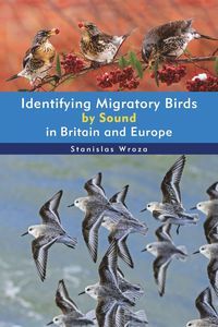 bokomslag Identifying Migratory Birds by Sound in Britain and Europe