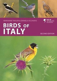 bokomslag Birds of Italy