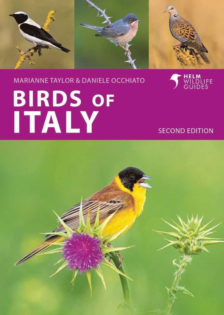 Marianne Taylor, Daniele Occhiato - Birds of Italy, Häftad