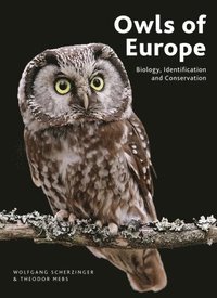 bokomslag Owls of Europe