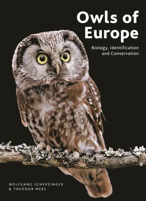 bokomslag Owls of Europe