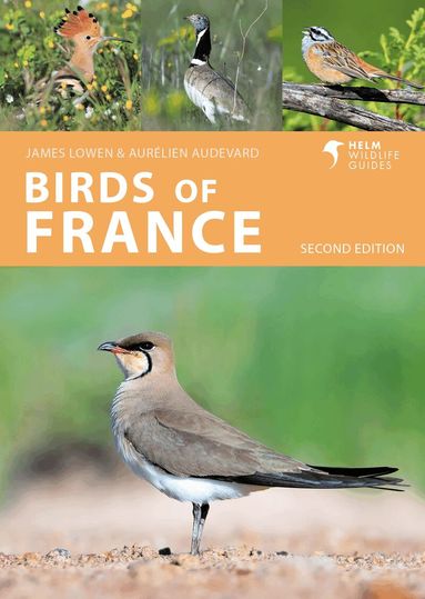 James Lowen, Aurélien Audevard - Birds of France, Häftad