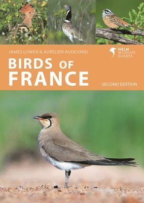 bokomslag Birds of France