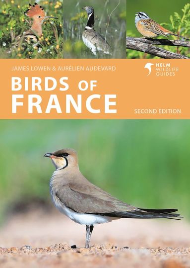 bokomslag Birds of France