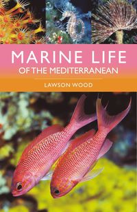 bokomslag Marine Life of the Mediterranean