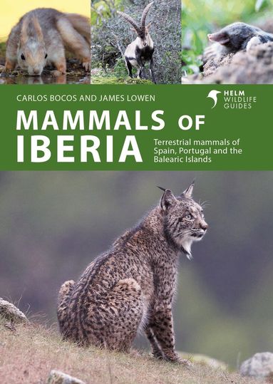 Carlos Bocos Gonzalez, James Lowen - Mammals of Iberia, Häftad