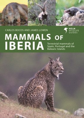 Carlos Bocos Gonzalez, James Lowen, Carlos Bocos Gonzalez - Mammals of Iberia, Häftad