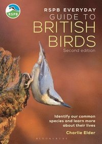 bokomslag RSPB Everyday Guide to British Birds