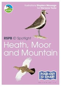 bokomslag RSPB ID Spotlight - Birds of Heath  Moor and Mountain