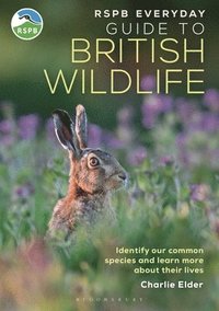 bokomslag RSPB Everyday Guide to British Wildlife