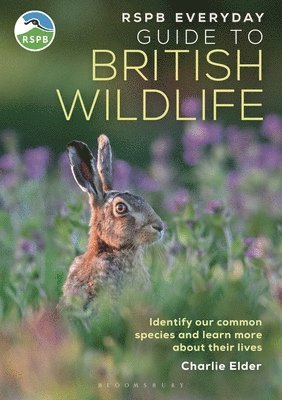 Charlie Elder - RSPB Everyday Guide to British Wildlife, Häftad