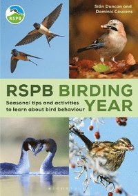 bokomslag RSPB Birding Year