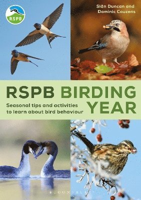 RSPB Birding Year 1