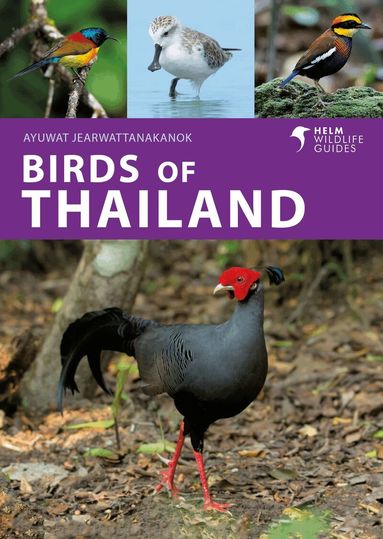 Ayuwat Jearwattanakanok - Birds of Thailand, Häftad