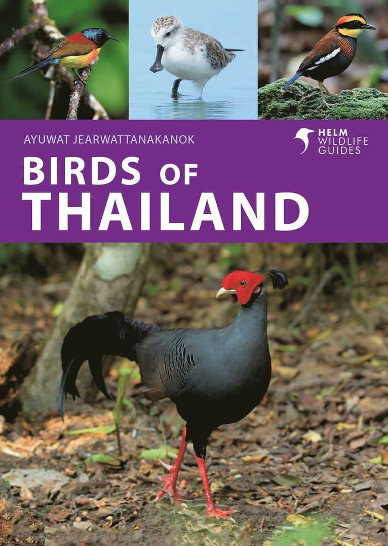 Birds of Thailand 1