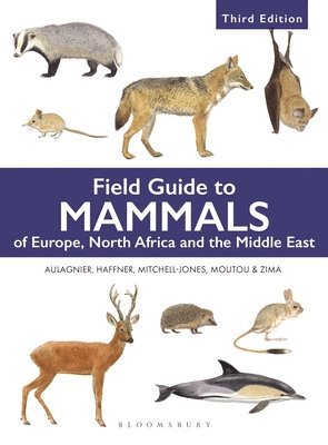 bokomslag Field Guide to Mammals of Europe, North Africa and the Middle East