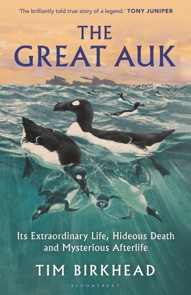 Tim Birkhead - Great Auk, Inbunden