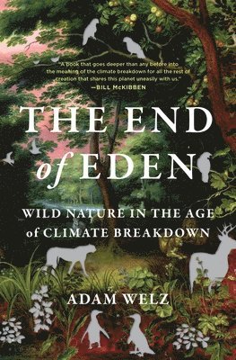 bokomslag Welz, A: End of Eden