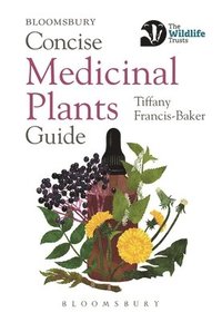 bokomslag Concise Medicinal Plants Guide