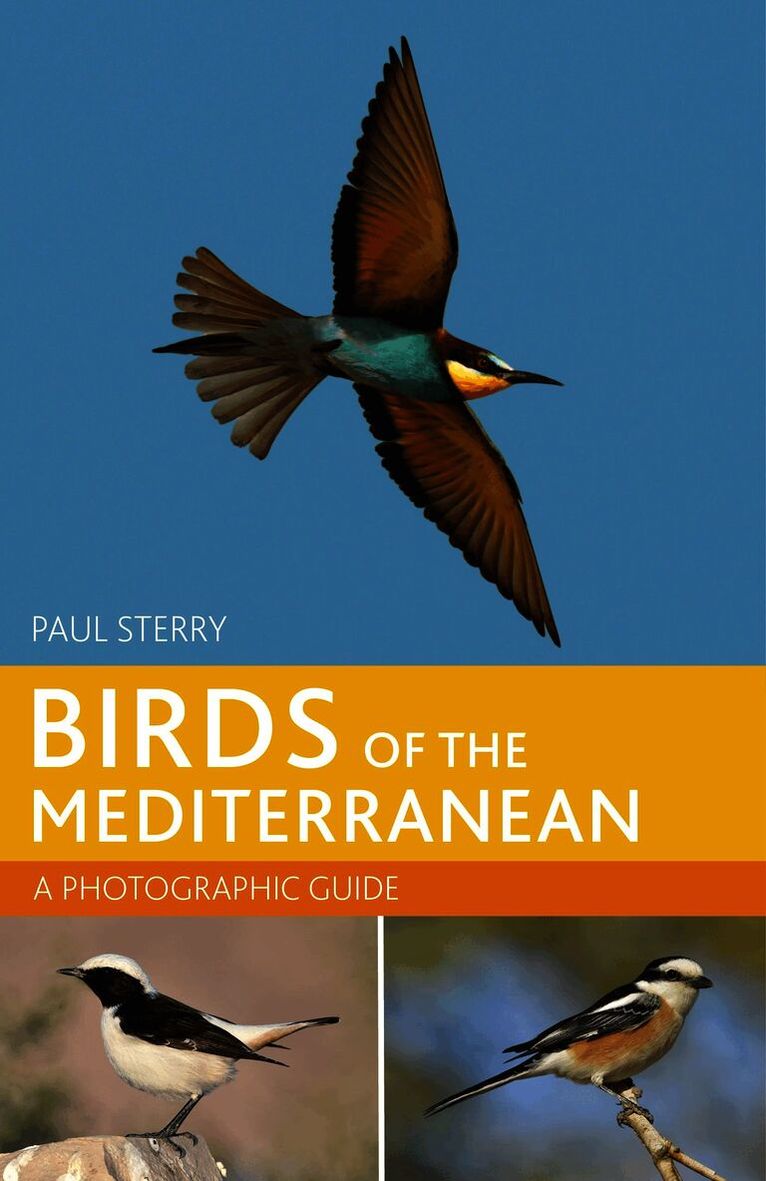 Birds of the Mediterranean: A Photographic Guide