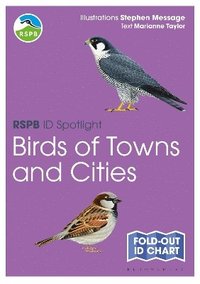 bokomslag RSPB ID Spotlight - Birds of Towns and Cities