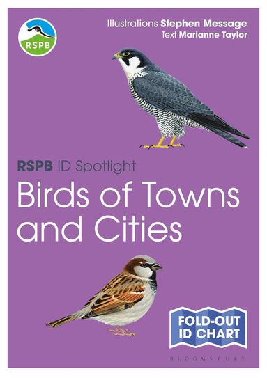 bokomslag RSPB ID Spotlight - Birds of Towns and Cities